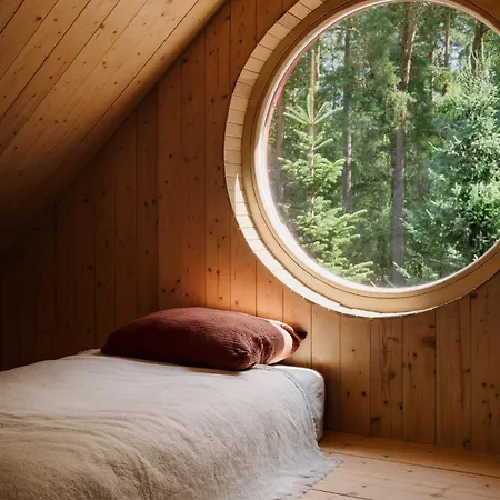 Czerwony Miedzy Drzewami * Brok