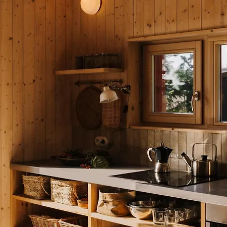 Czerwony Miedzy Drzewami * Brok