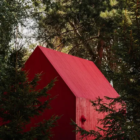 Czerwony Miedzy Drzewami Brok